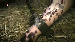 i-µi³i-µi³ai-µi³i-µi-i-µi³i-µi³²i-µi³i-µi³